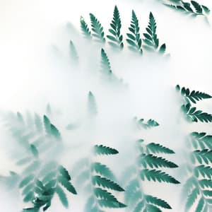 Relaxing Melodies | Complete Relaxation - Zarobi