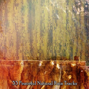 33 Peaceful Natural Rain Tracks - Thunder Storm