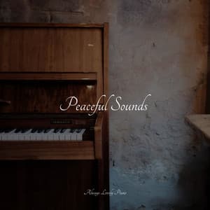 50 Deeply Comforting Sounds - Piano Tranquil