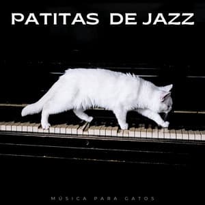 Patitas De Jazz: Música Para Gatos - Música para gatos Deluxe