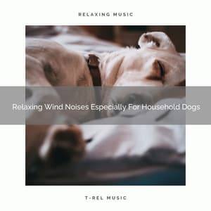 Relaxing Wind Noises Especially For Household Dogs - Dog Total Relax