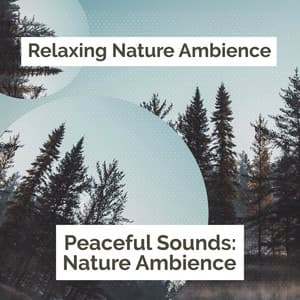 Peaceful Sounds: Nature Ambience - Relaxing Nature Ambience
