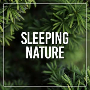 Sleeping Nature - Rain Sounds Nature Collection