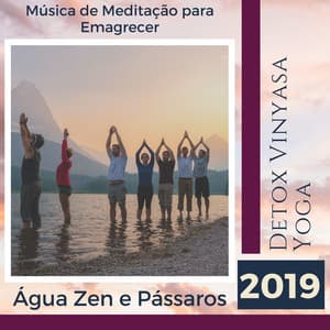 Detox Vinyasa Yoga 2019 - Música de Meditação para Emagrecer, Água Zen e Pássaros - Meditação Yoga