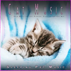 Cat Music: Calm Music for Cat Purring, Cuddling and Cat Nap - Cat Music Stevens