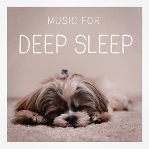 Music for Deep Sleep - Deep Sleep Relaxation