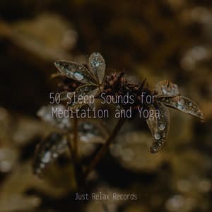 50 Sleep Sounds for Meditation and Yoga - Chinese Relaxation and Meditation