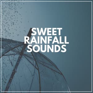 Sweet Rainfall Sounds - Rain Sounds & Nature Sounds