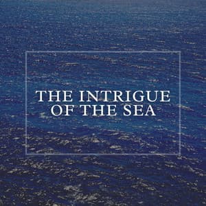 The Intrigue of the Sea - Ocean Sounds