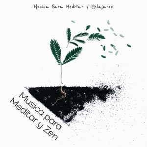 Musica para Meditar y Zen - Música Para Meditar y Relajarse