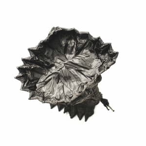 Jazz Violin - Ambiance for Moving Up - Soft Jazz Classics