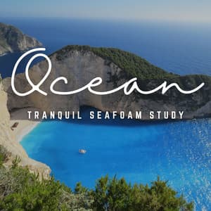 Tidal Tranquility: Ambient Ocean Study - Ocean Currents