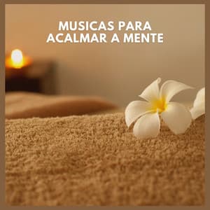 Músicas Para Acalmar a Mente - Oasis Relaxamento