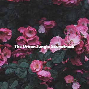 The Urban Jungle Soundtrack - Singapore Hotel Music
