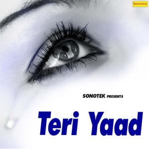 Teri Yaad - Anuja
