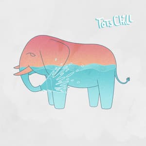 Joy Toy - TotsChill