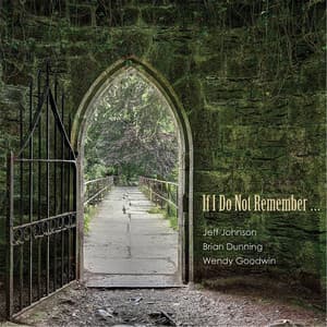 If I Do Not Remember... - Jeff Johnson