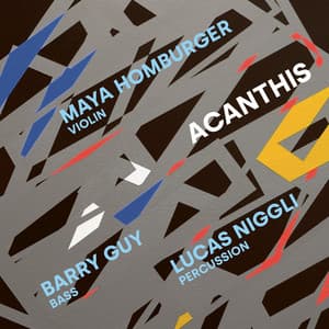 Acanthis - Maya Homburger