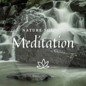 Meditation - Meditway
