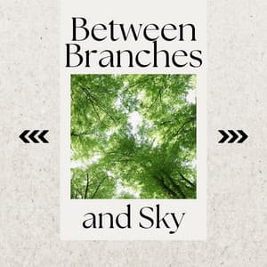 Between Branches and Sky - Askafroda