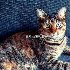 幸せな猫の曲 - Soft Jazz Relaxation