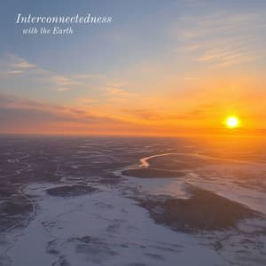 Interconnectedness with the Earth - Shamanimalistic