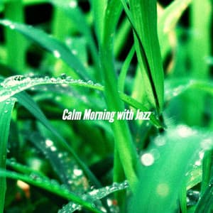 Calm Morning with Jazz - Música de la Oficina