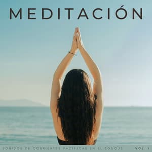 Meditación: Sonidos De Corrientes Pacíficas En El Bosque Vol. 1 - Sonidos Del Bosques