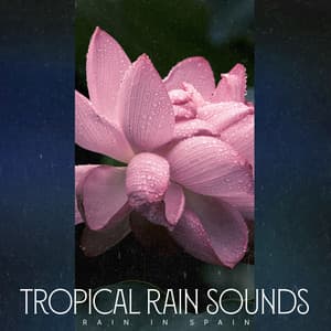 Tropical Rain Sounds - Rain In Spain