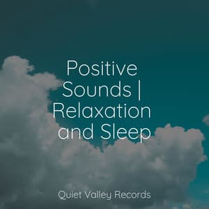 Positive Sounds | Relaxation and Sleep - Rain Sounds Factory STHLM