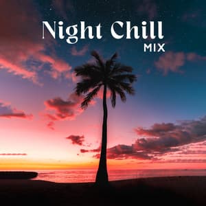 Night Chill Mix: Summer Beach Party, Chill House Beats - DJ Diablo Vibe