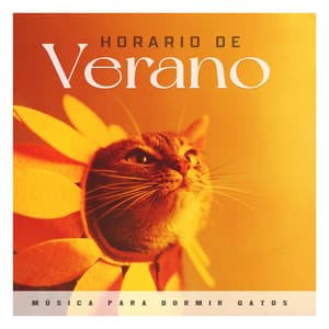 Horario de Verano - Música para dormir Gatos