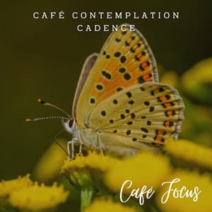 Study Serenades: Jazz Café Focus - Relaxing Jazz Sessions