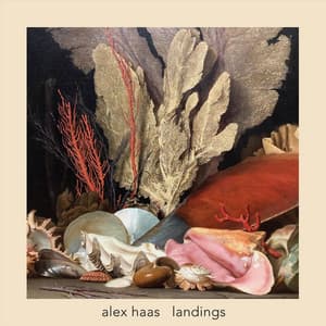 Landings - Alex Haas