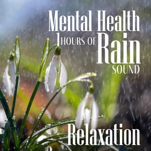 Mental Health: 1 Hours of Rain Sound Relaxation - Healing Rain Music Zone