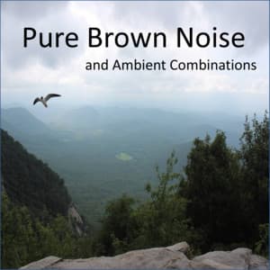 Pure Brown Noise and Ambient Combinations, including Clothes Dryers, Waterfalls, Crickets and more - Deep Sleep