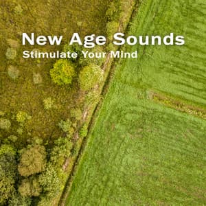 Stimulate Your Mind with New Age Sounds – Melodies for Positive Attitude, Productive Learning, Study Vibes - Study New Age Counter Display