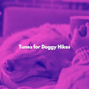 Tunes for Doggy Hikes - Easy Listening Morning Music