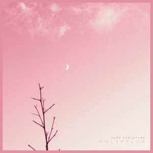 Dusk Curvature - Polifilus