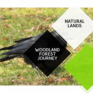Woodland Forest Journey - Natural Lands - Sleepy Times