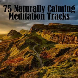 75 Naturally Calming Meditation Tracks - Meditación Interna