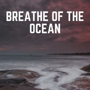 Breathe of the Ocean - Ocean & Sea Sounds