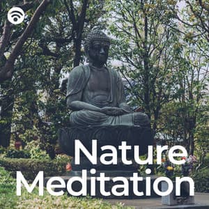 Nature Meditation: Serene Journey Inner Peace - Relaxing With Sounds of Nature and Spa Music Natural