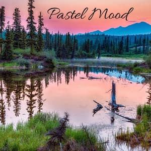 Pastel Mood - Masala Roo