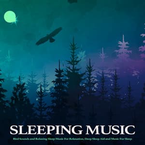 Sleeping Music: Bird Sounds and Relaxing Sleep Music For Relaxation, Deep Sleep Aid and Music For Sleep - Sleep Music