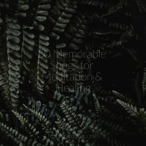 50 Memorable Songs for Meditation & Healing - Instrumental