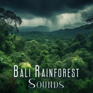 Bali Rainforest Sounds - Nadia Pam
