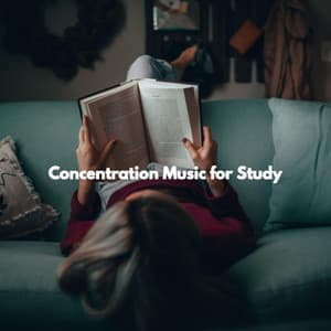 Concentration Music for Study - Quebec Jazz Lounge