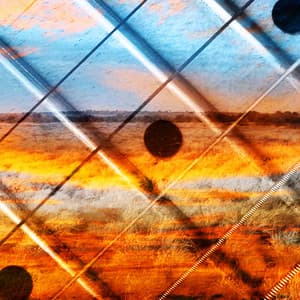 Guitar Country, Vol. 2 - Paul Lenart