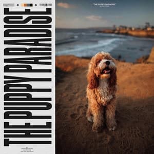 The Puppy Paradise - Music For Dogs